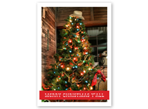 Merry Christmas Y'all Holiday Greeting Card