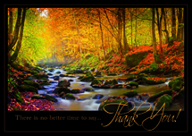 Radiant Thanks Thanksgiving Cards