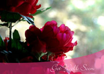 Magenta Flowers Get Well  Cards